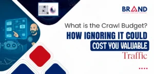 What is the Crawl Budget